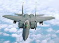 Imagen de un F15 norteamericano en pleno vuelo.