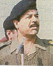 Sadan Husein, Presidente de Iraq