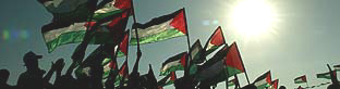Banderas palestinas, durante la celebracin