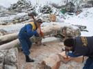 Dos trabajadores bosnios cortan lea ante la falta de gas en Sarajevo