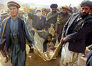 Combatientes de la Alianza trasladan a uno de sus compaeros muerto en el frente de Kunduz.